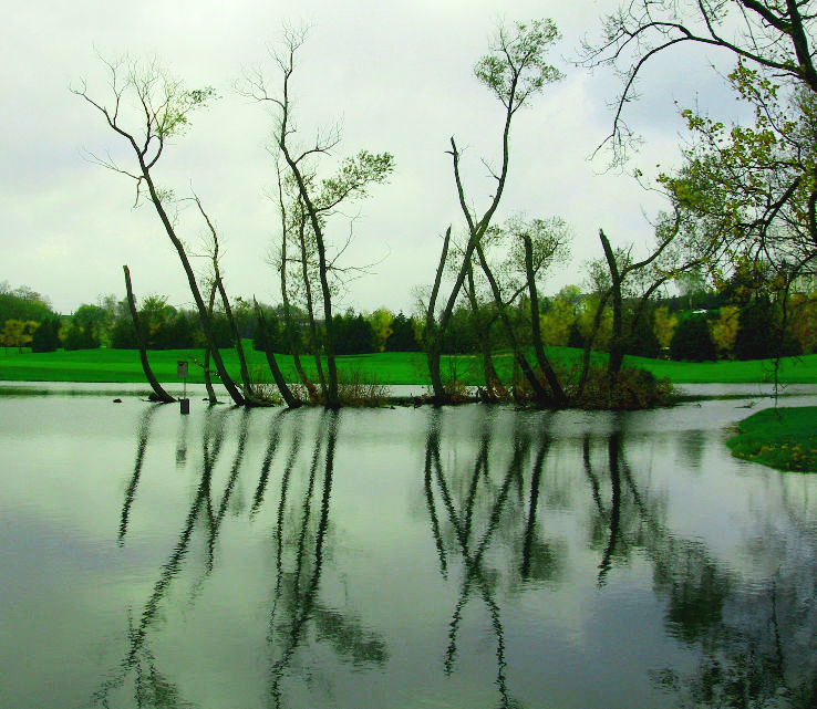 Nobleton Trip Packages Nobleton Trip Packages