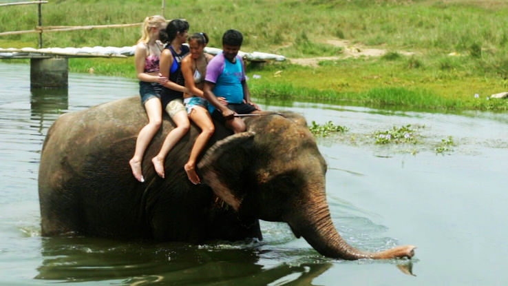 Chitwan Trip Packages