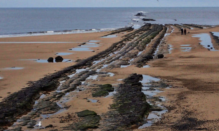 Redcar Trip Packages