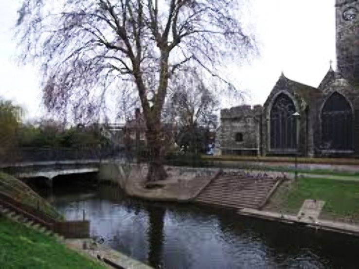 Dartford Trip Packages