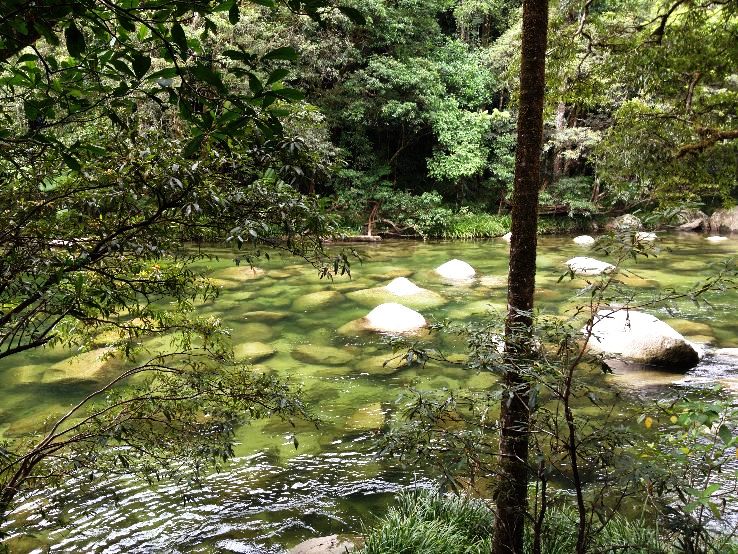 Mossman Trip Packages