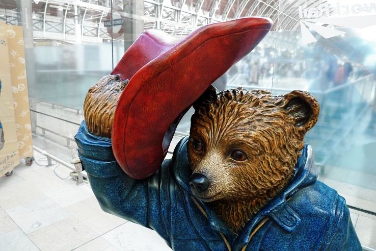 Paddington Trip Packages