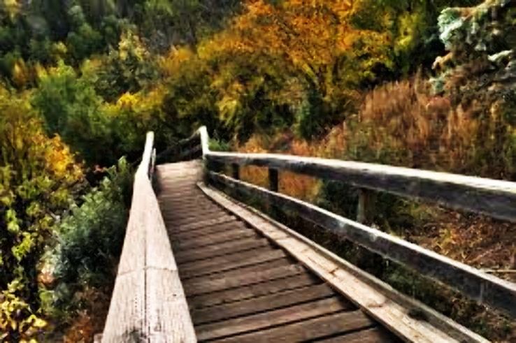 Sherwood Park Trip Packages Sherwood Park Trip Packages