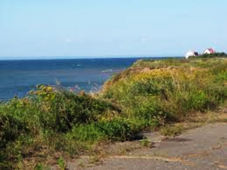 Bonaventure Trip Packages