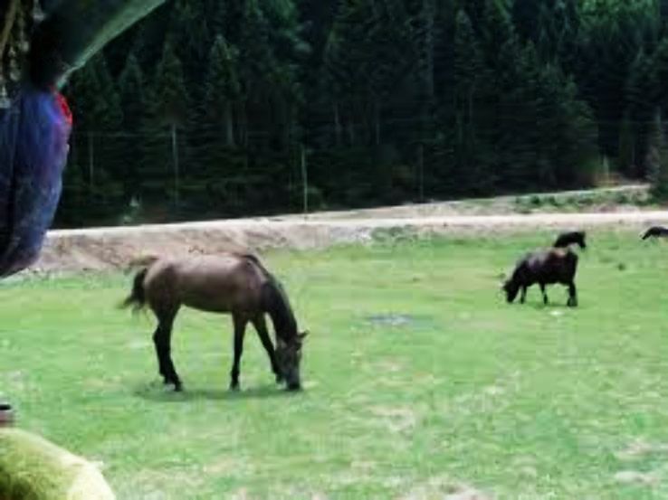 Mudurnu Trip Packages