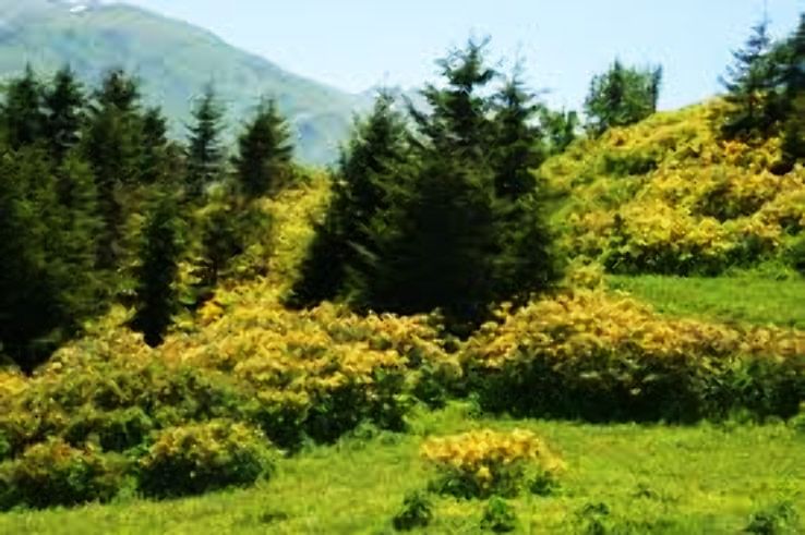 Ikizdere Trip Packages Ikizdere Trip Packages