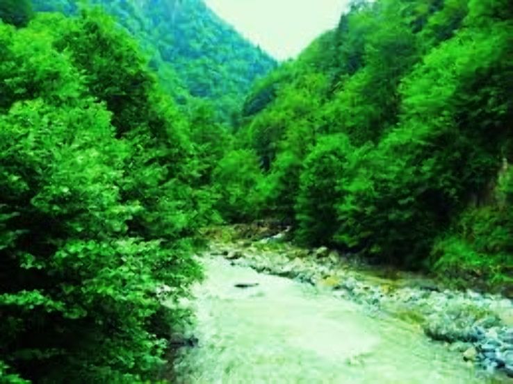 Kalkandere Trip Packages Kalkandere Trip Packages