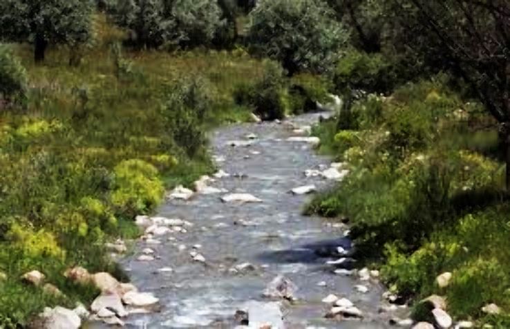 Susehri Trip Packages