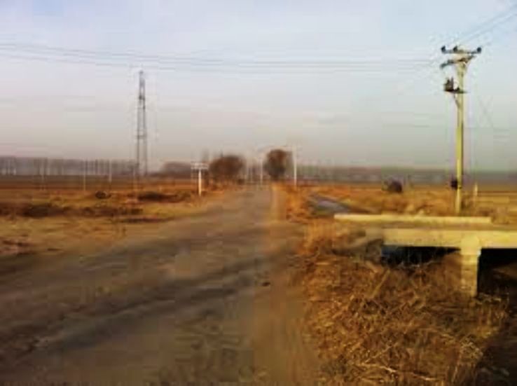 Panjin Trip Packages