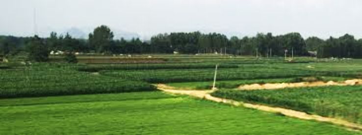 Tengzhou Trip Packages Tengzhou Trip Packages