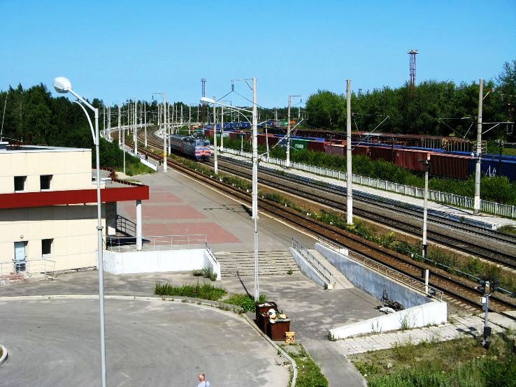 Segezha Trip Packages