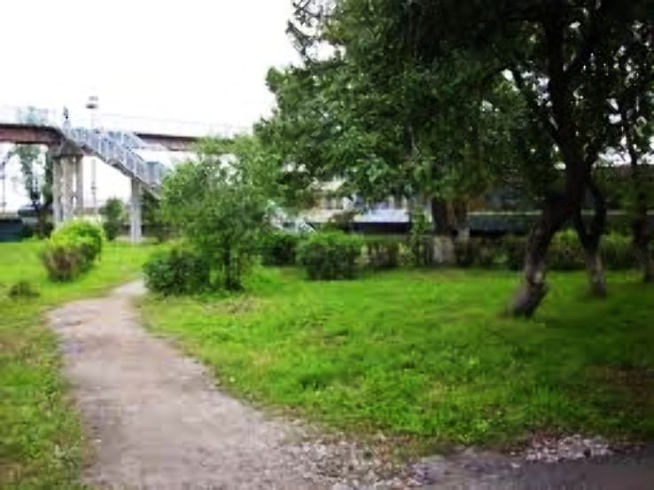 Novosokolniki Trip Packages