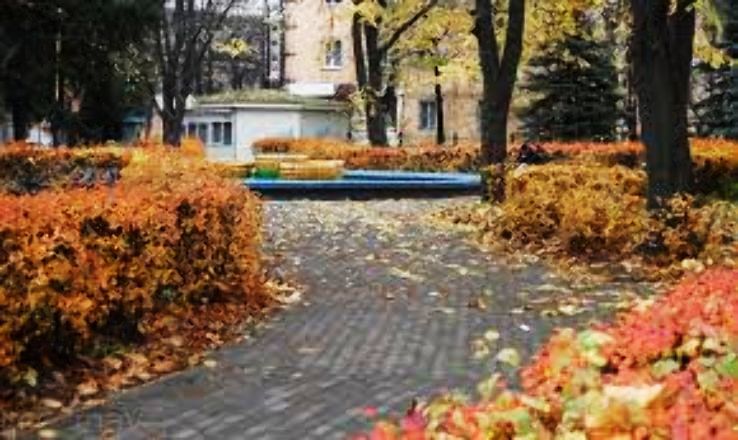 Velikije Luki Trip Packages