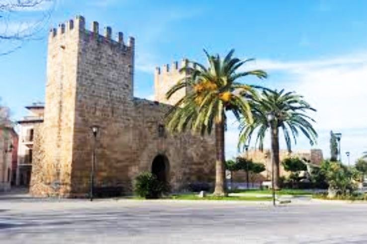 Alcudia Trip Packages