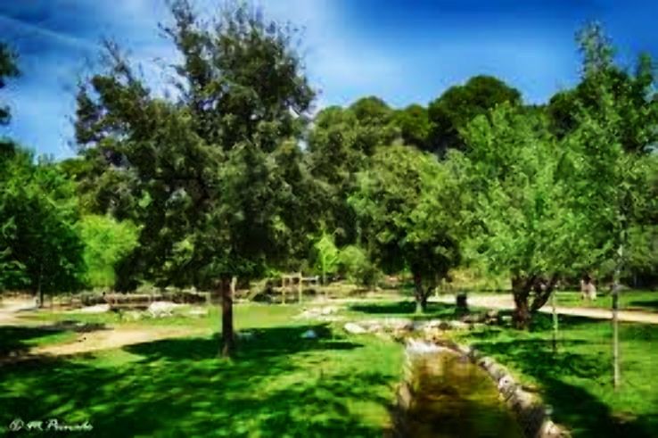 Azuqueca de Henares Trip Packages