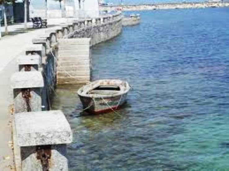 O Grove Trip Packages