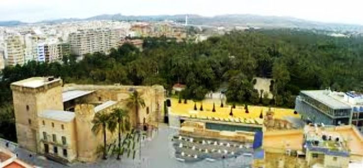 Elche Trip Packages