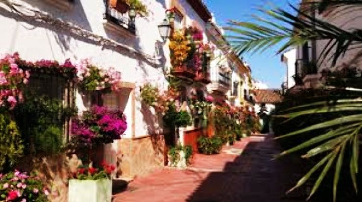 Estepona Trip Packages