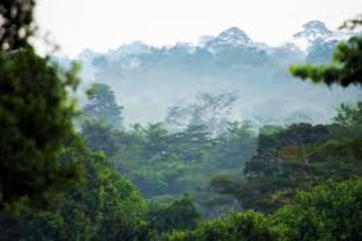 Ashanti Trip Packages