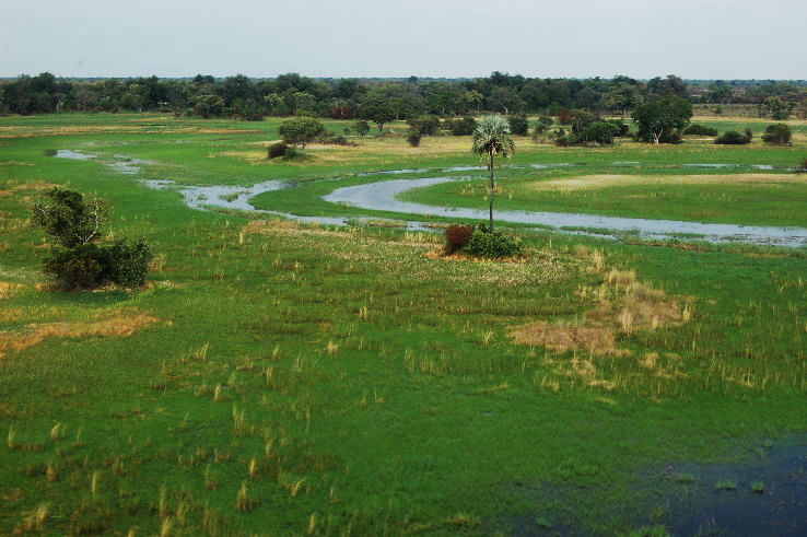 Okavango Delta Trip Packages