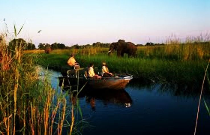 Okavango Delta Trip Packages