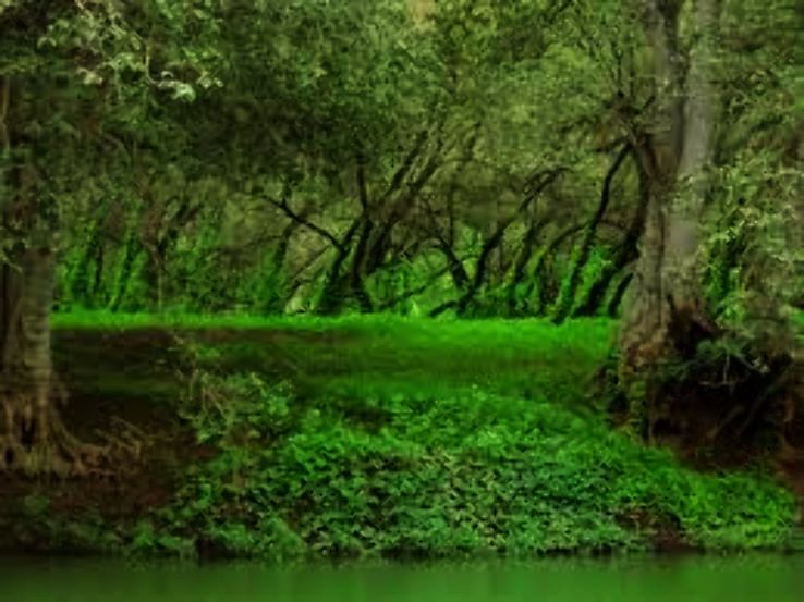 Salalah Trip Packages