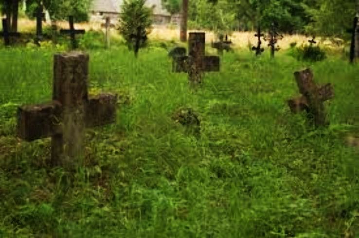 Hiiumaa Trip Packages