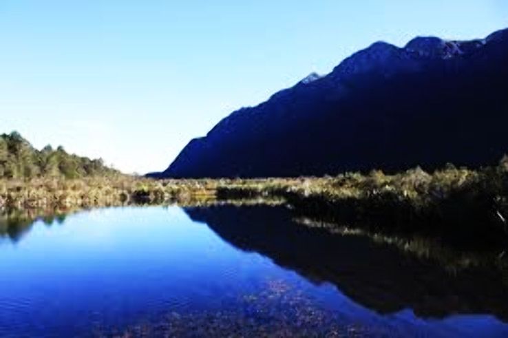 Fiordland Trip Packages