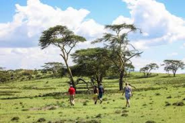 Naivasha Trip Packages