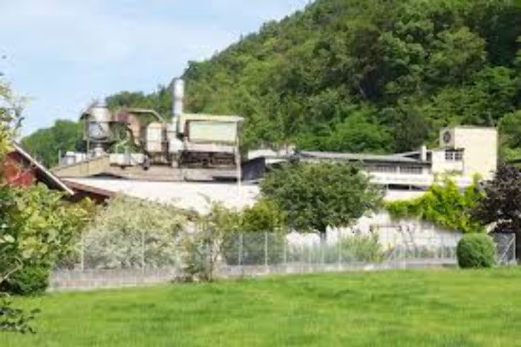 Liestal Trip Packages