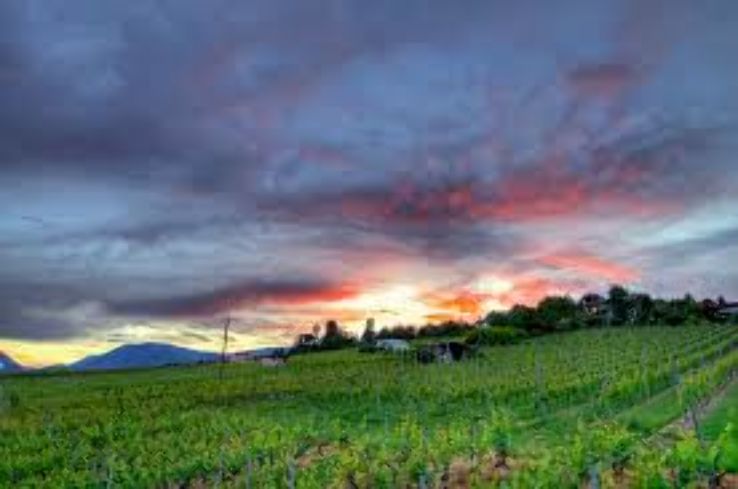 Peseux Trip Packages Peseux Trip Packages