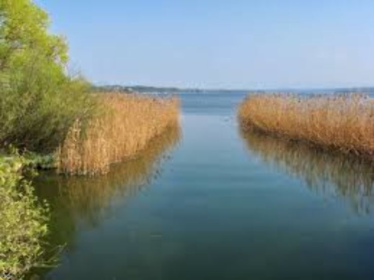 Schwerzenbach Trip Packages