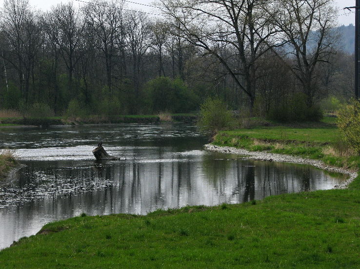 Geroldswil Trip Packages