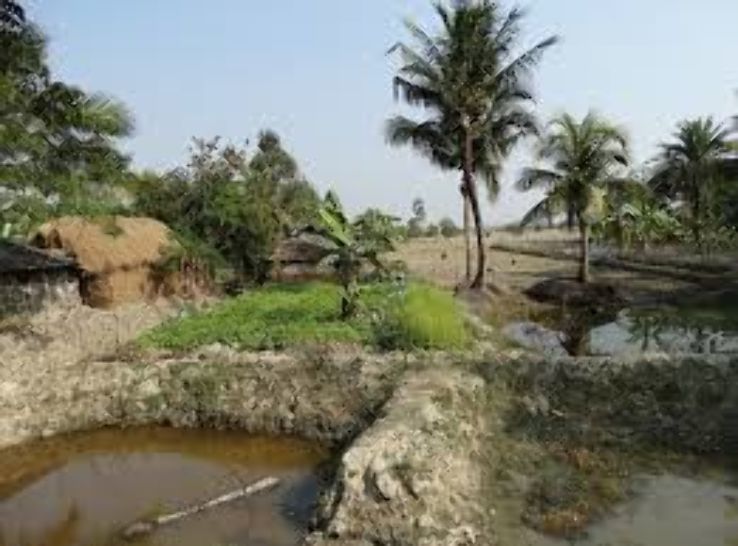 Best 3 Days Kolkata to Sundarban Holiday Package