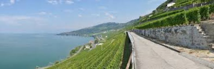 Puidoux Trip Packages