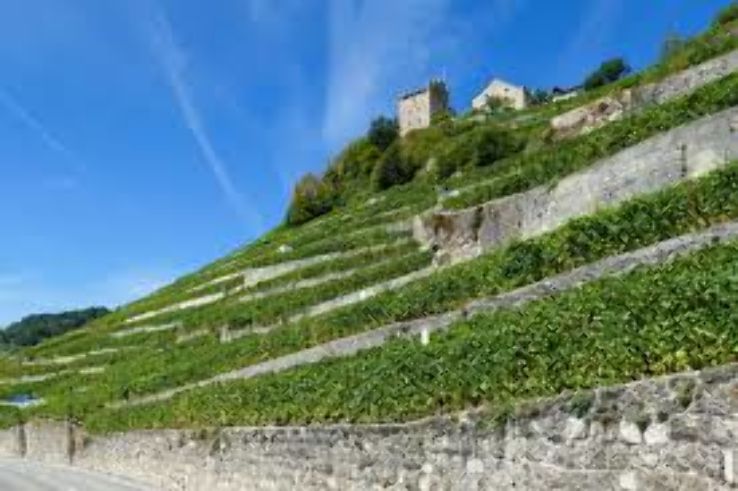 Puidoux Trip Packages