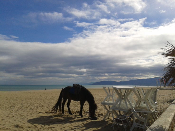 Martil Trip Packages