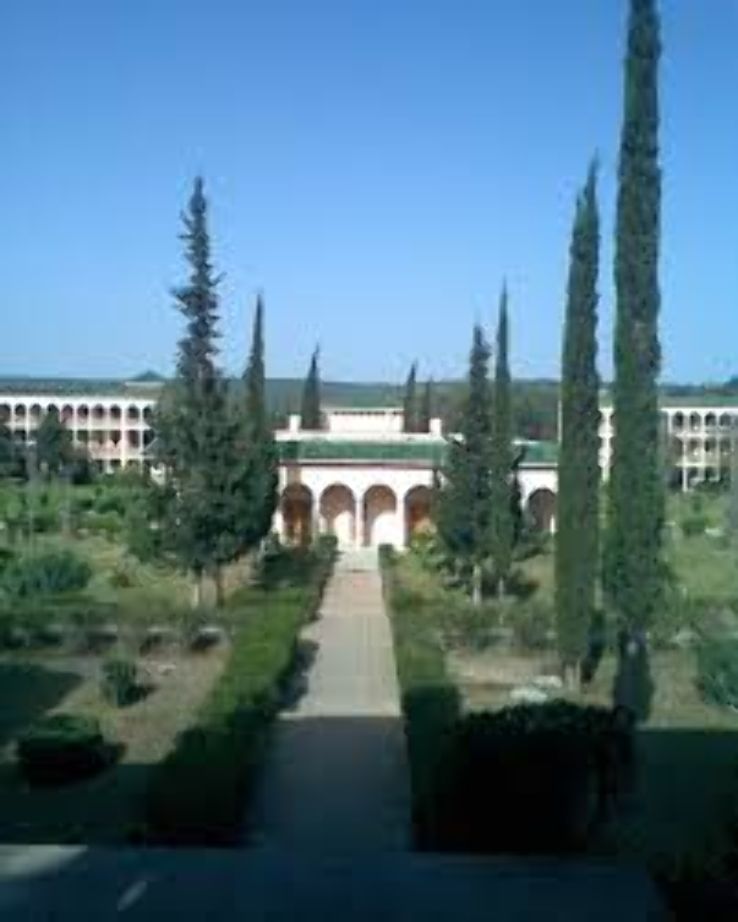 Settat Trip Packages