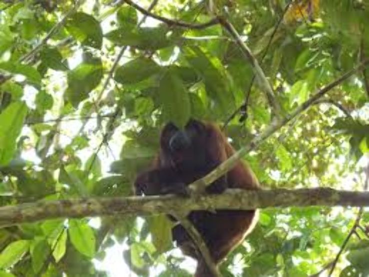 Xapuri Trip Packages