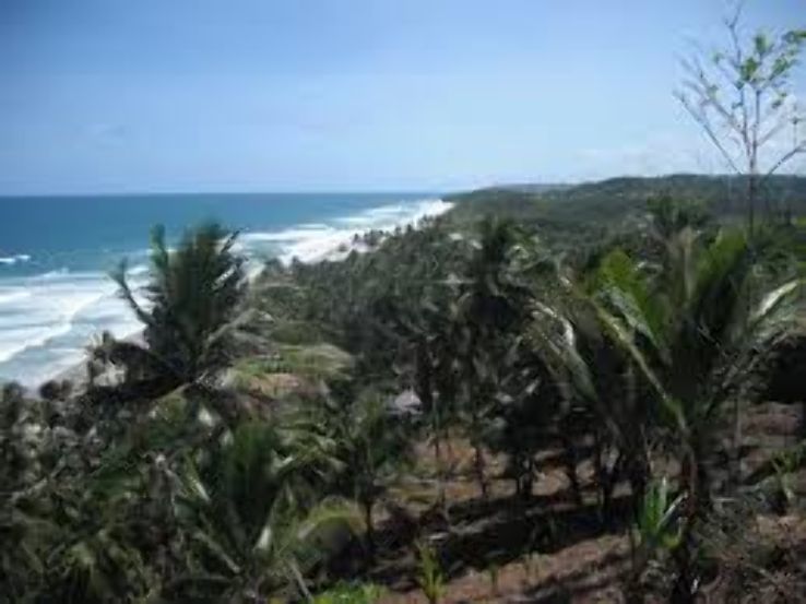 Itacare Trip Packages