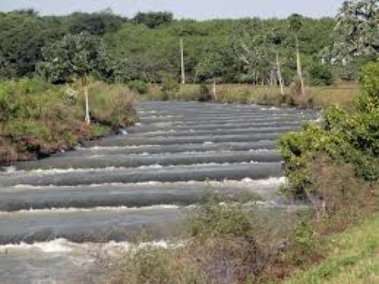 Remanso Trip Packages