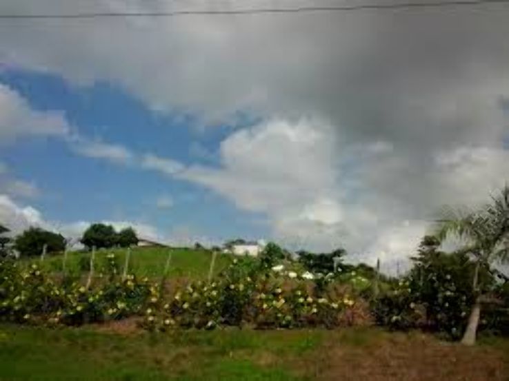 Sao Francisco do Conde Trip Packages