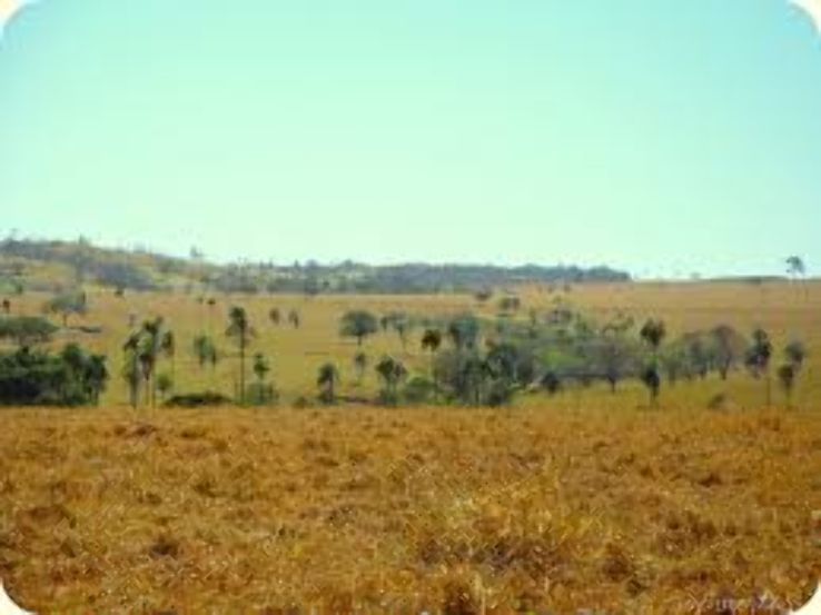 Bela Vista de Goias Trip Packages