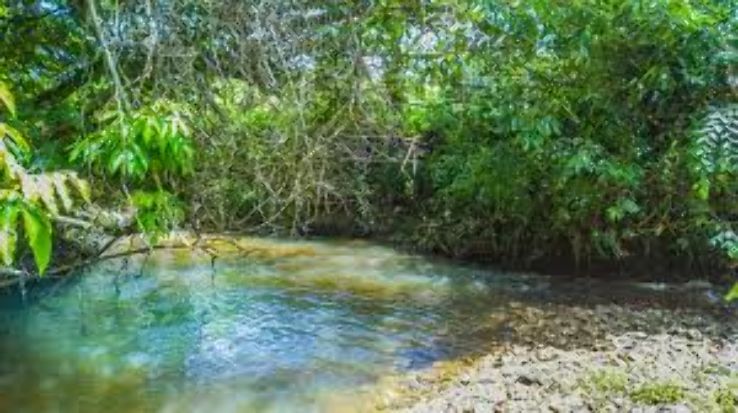 Bela Vista de Goias Trip Packages