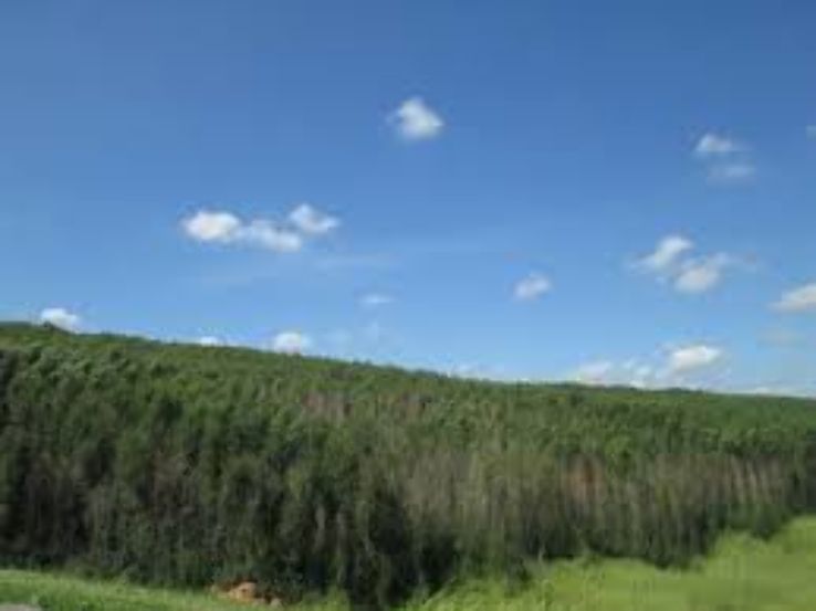 Campos Verdes Trip Packages