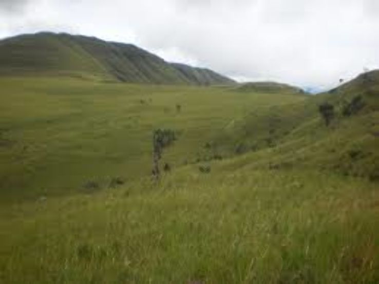 Campos Verdes Trip Packages