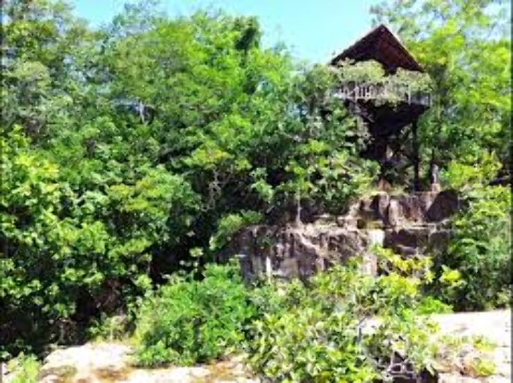 Rio Verde Trip Packages