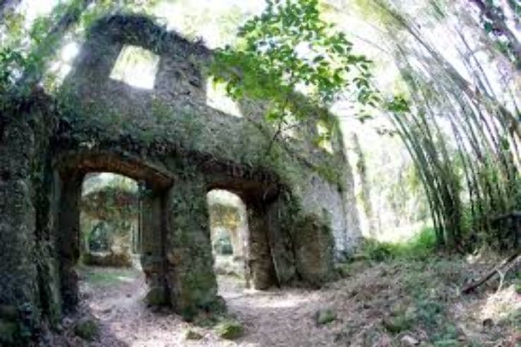 Alagoinha Trip Packages