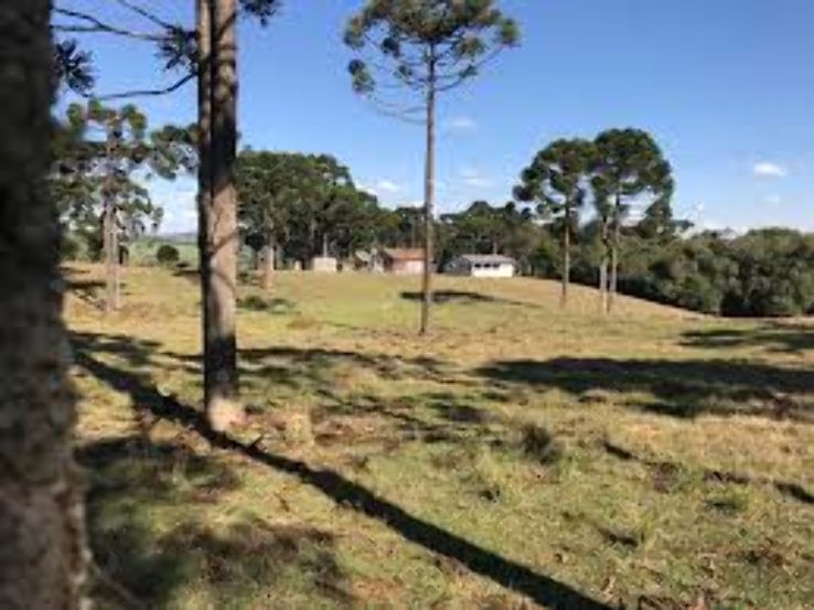 Pirai do Sul Trip Packages