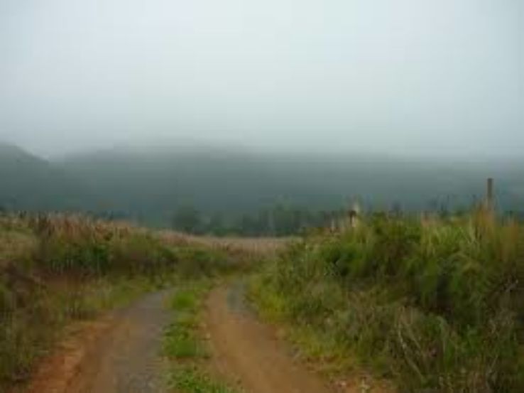 Rio Negro Trip Packages Rio Negro Trip Packages